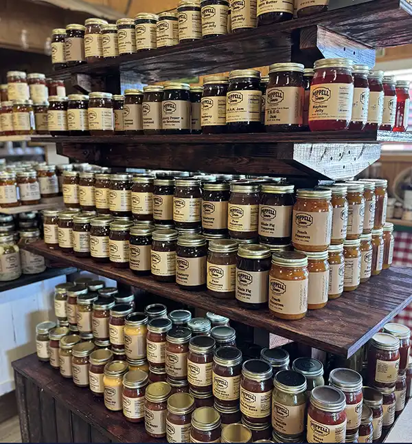 newJamJelly3
